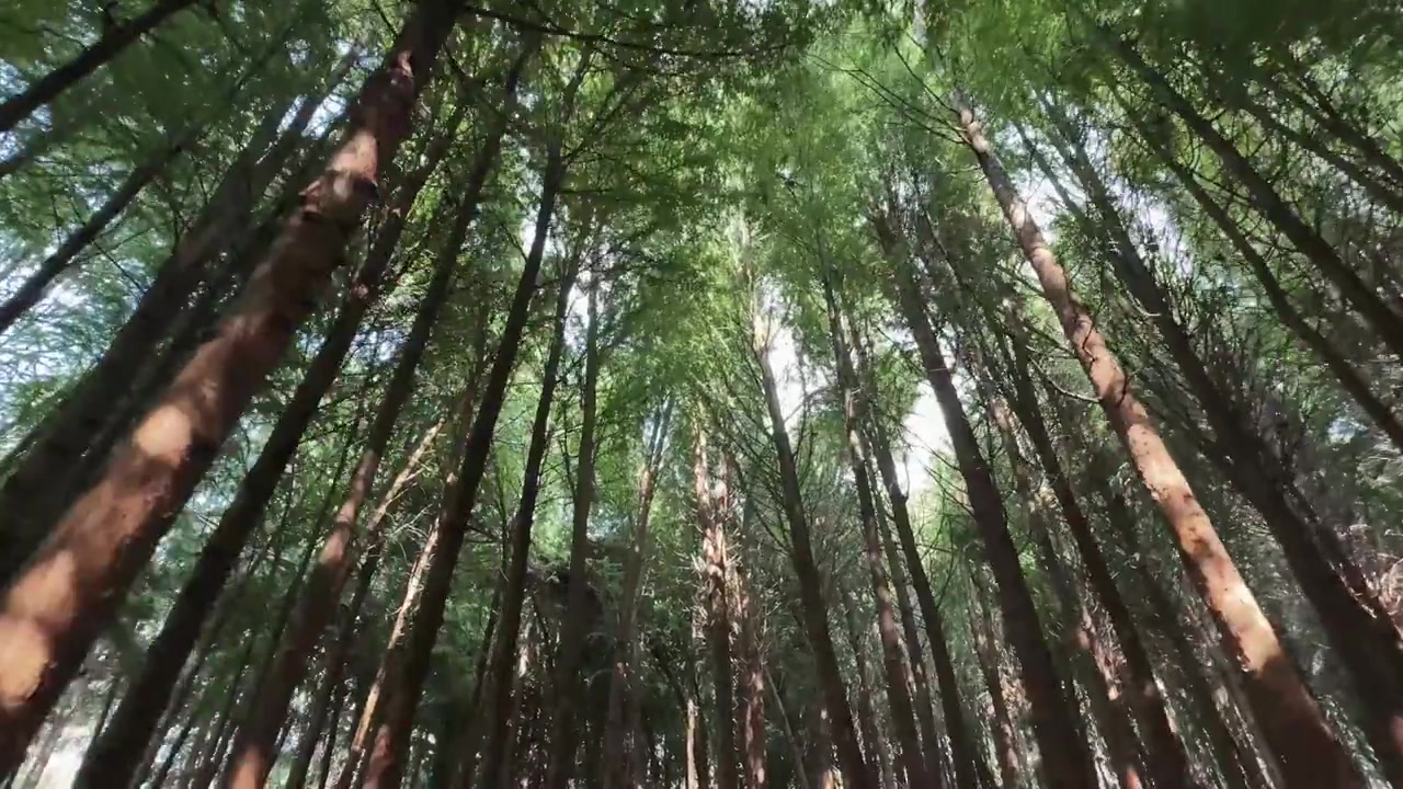 深圳新鹏城客场3-4惜败云南玉昆 1-3落后顽强扳平终场遭绝杀 深圳新鹏城客场3-4惜败云南玉昆 1-3落后顽强扳平终场遭绝杀