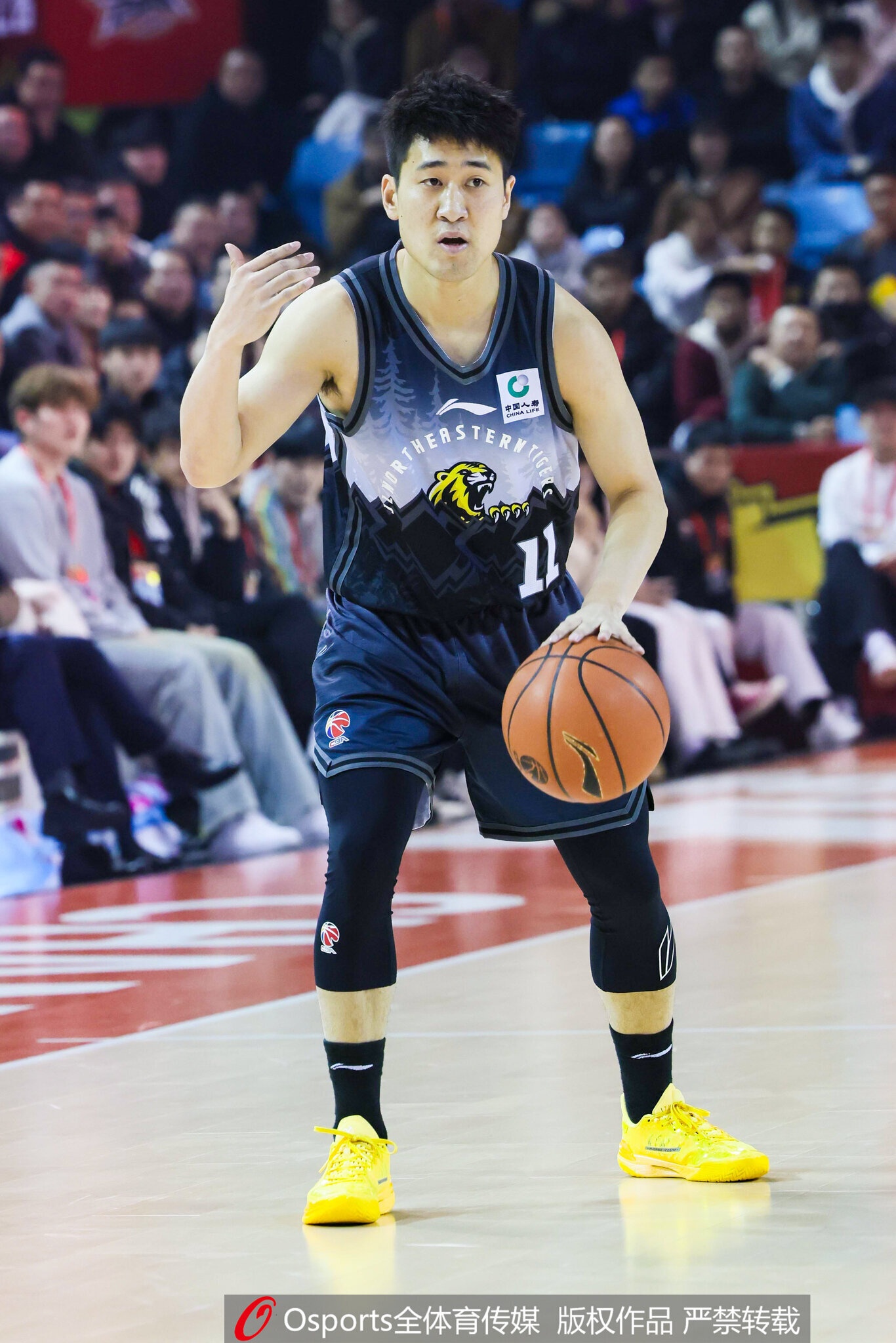 吉林注册11名球员:姜伟泽B类合同还剩1年 崔晋铭续签1年C类合同 吉林注册11名球员:姜伟泽B类合同还剩1年 崔晋铭续签1年C类合同